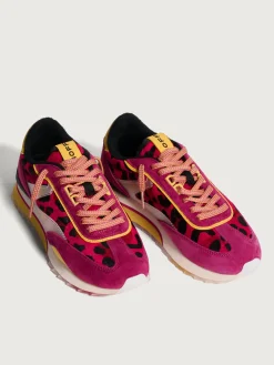 PINK LADY